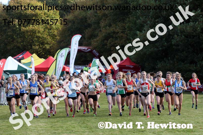 Junior women, 2016 National Cross Cpuntry Relays, Berry Hill Park, Mansfield. Photo: David T. Hewitson/Sports for All Pics